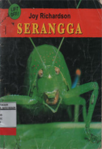 Serangga