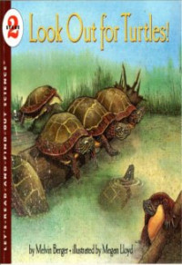 Look Out for Turtles!